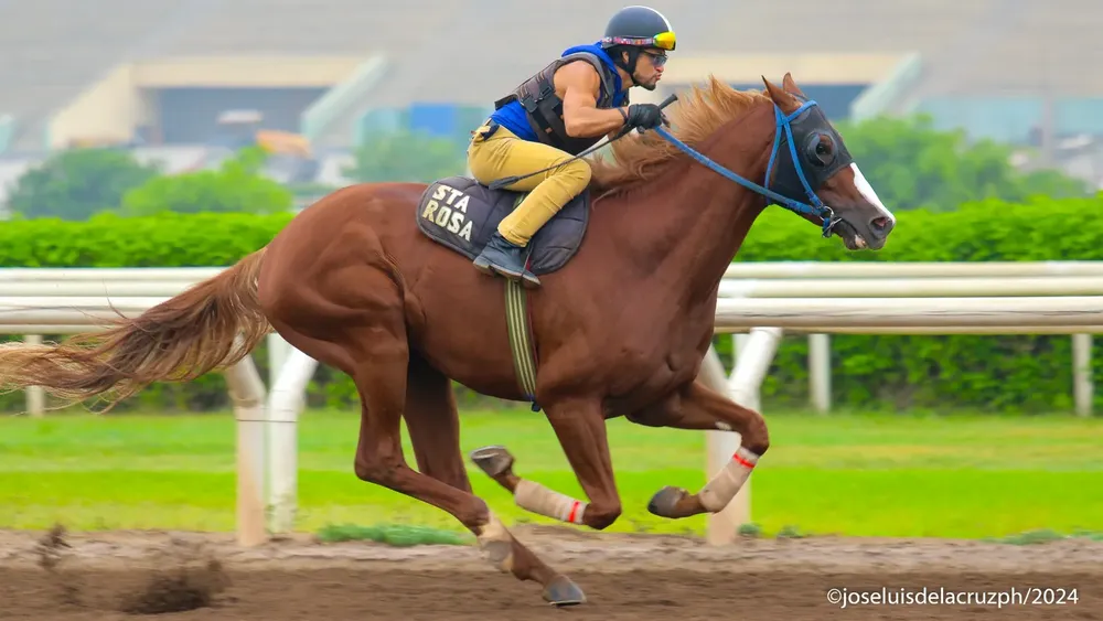 WhatsApp Image 2024-02-27 at 10.28.29 AM