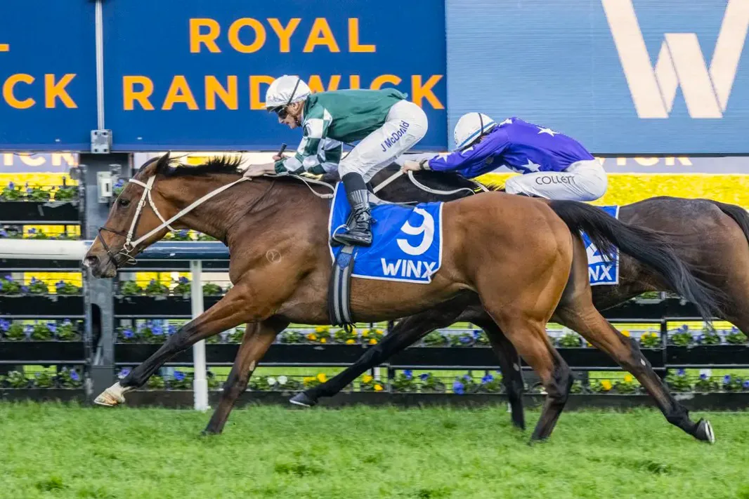 Via-Sistina-Winx-Stakes.jpg