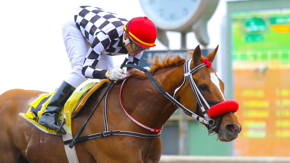 WhatsApp Image 2023-10-21 at 4.01.06 PM