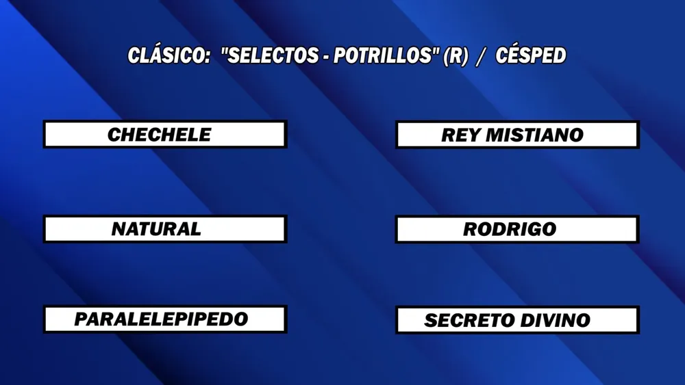 WhatsApp Image 2025-06-02 at 14.04.17