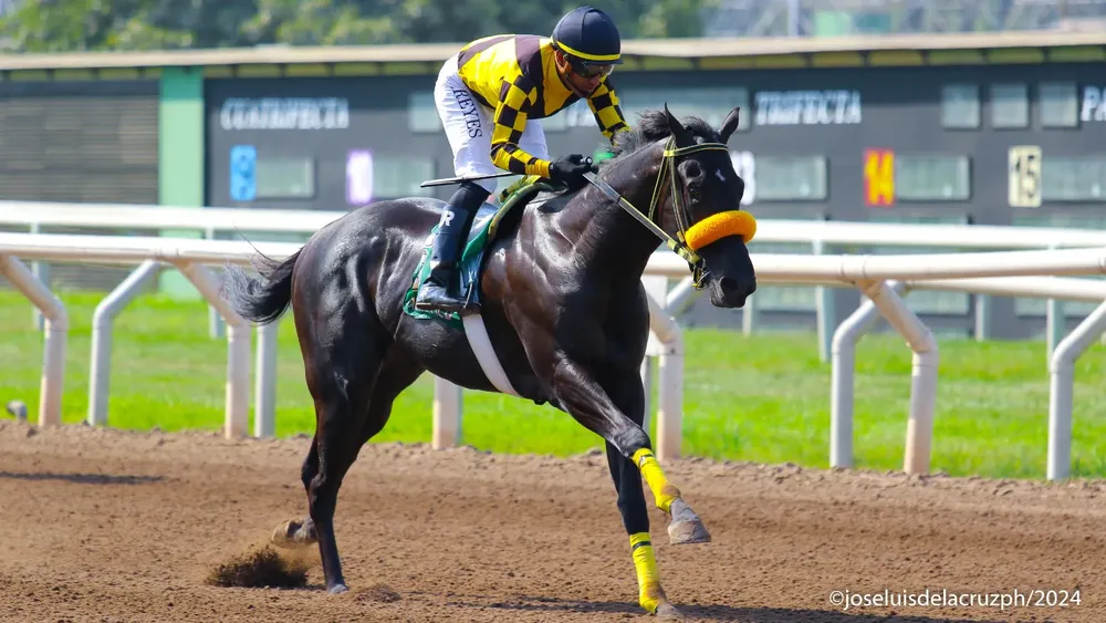 WhatsApp Image 2024-05-12 at 14.45.04