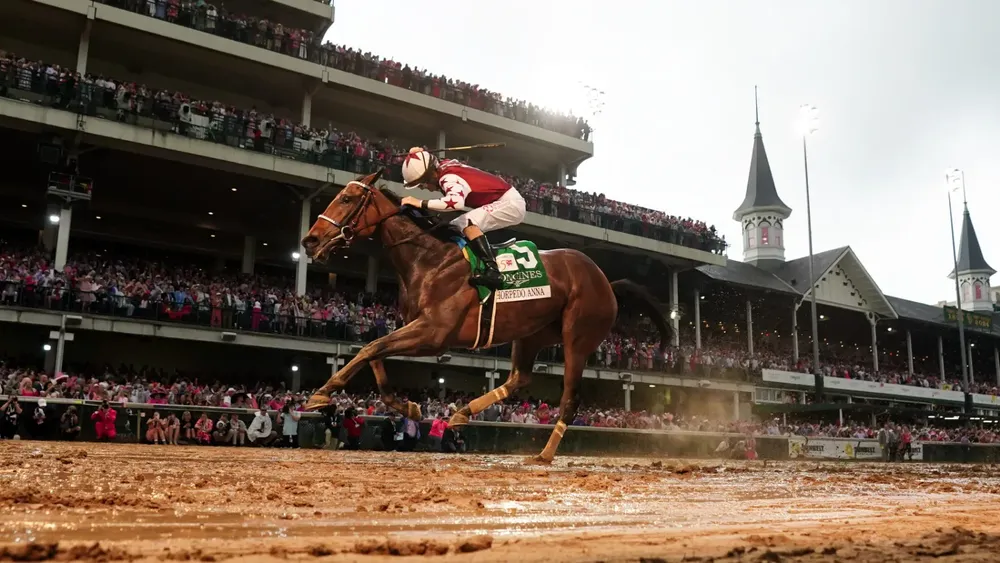 WhatsApp Image 2024-05-03 at 17.15.59