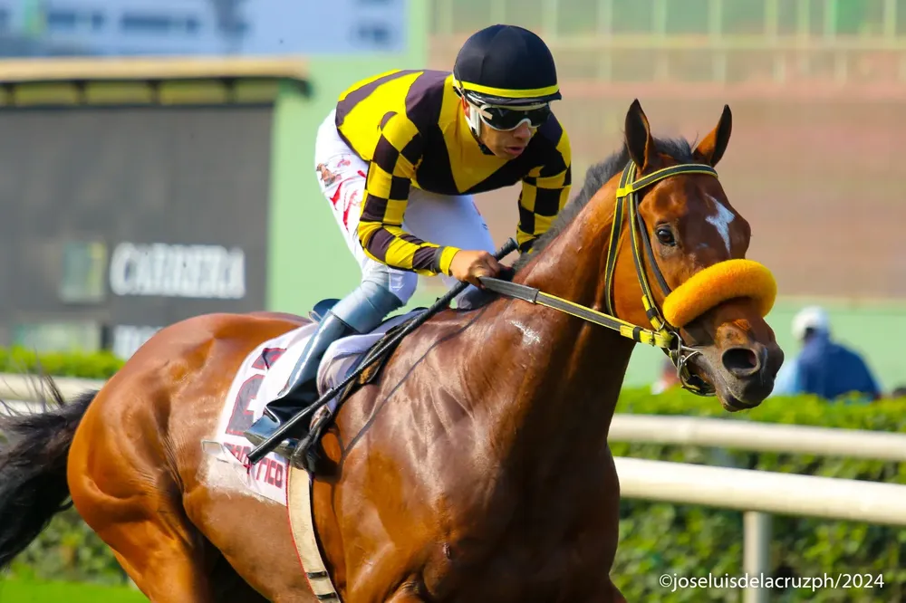 WhatsApp Image 2024-09-09 at 10.50.30