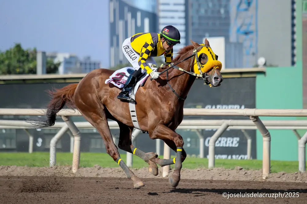 WhatsApp Image 2025-12-26 at 11.07.45 PM