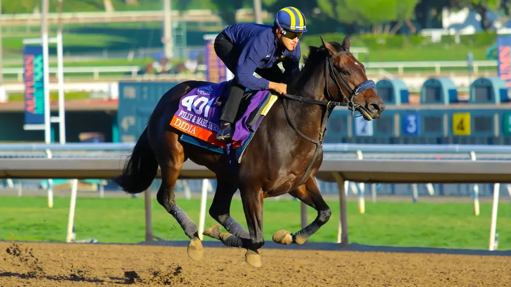 WhatsApp Image 2023-11-02 at 5.39.11 AM