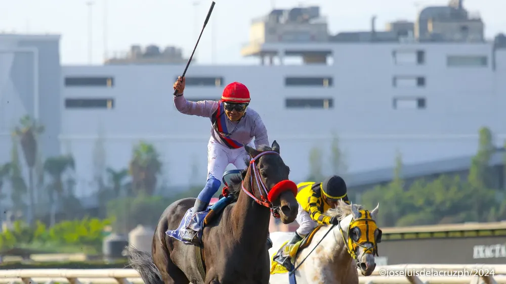 WhatsApp Image 2024-05-11 at 16.30.30