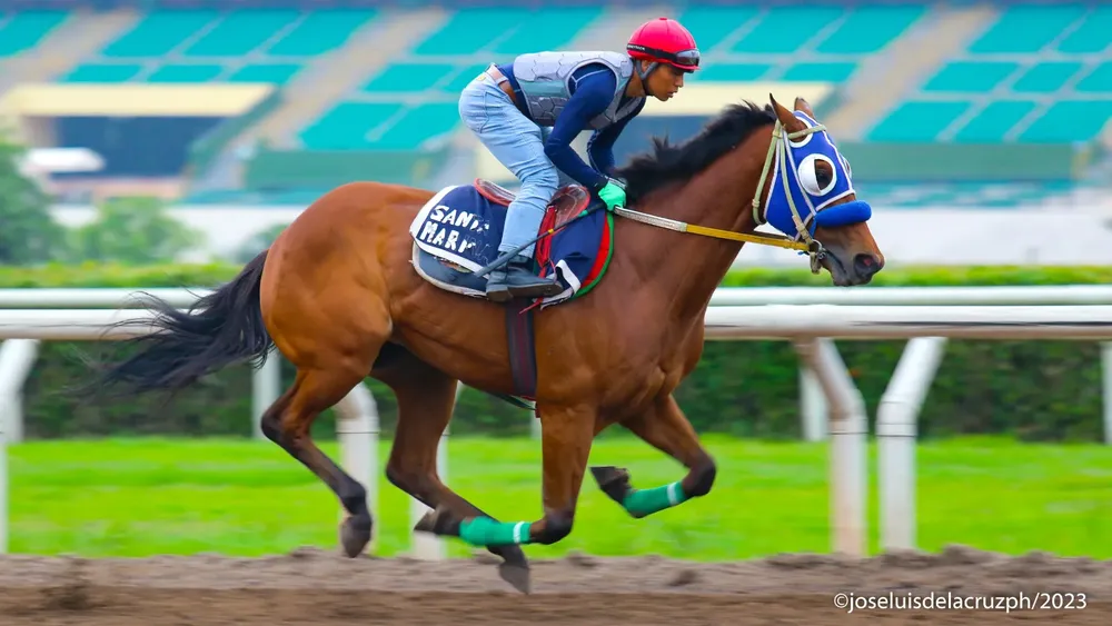 WhatsApp Image 2023-12-13 at 10.16.25 AM