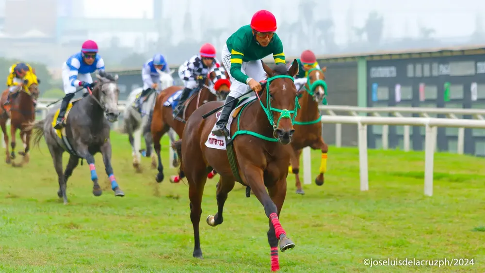 WhatsApp Image 2024-07-13 at 13.40.24