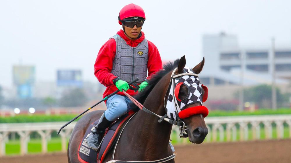 WhatsApp Image 2023-08-19 at 10.16.52 AM