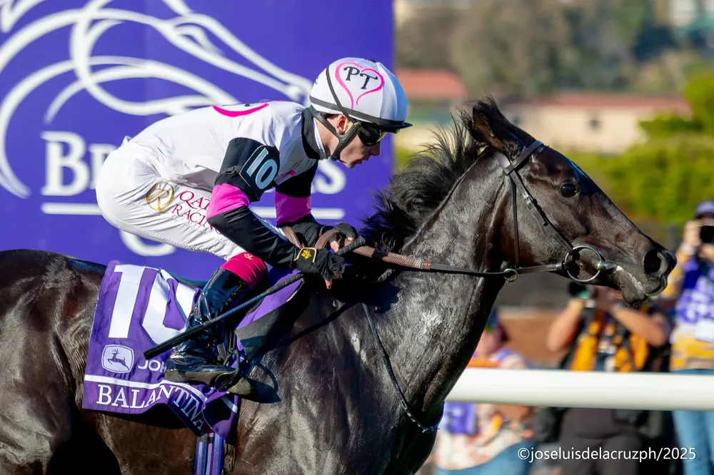 WhatsApp Image 2025-10-31 at 4.27.47 PM