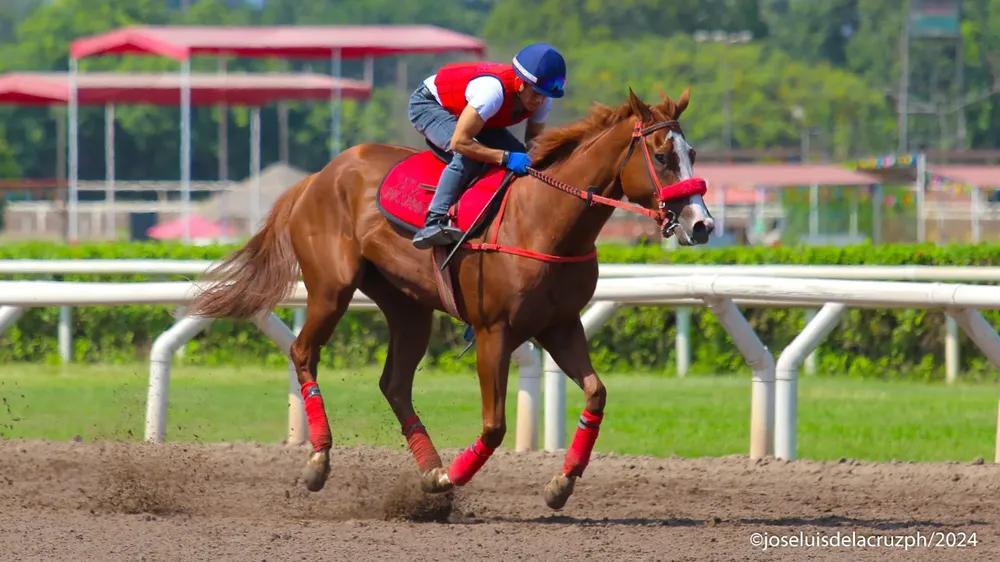 WhatsApp Image 2024-03-12 at 10.50.20 AM