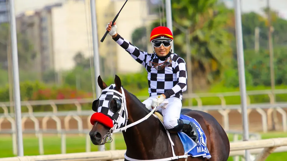 WhatsApp Image 2024-05-27 at 13.56.43