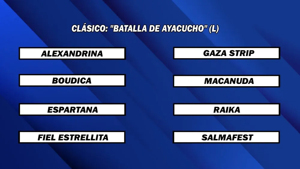 WhatsApp Image 2024-12-02 at 14.17.18 (1)