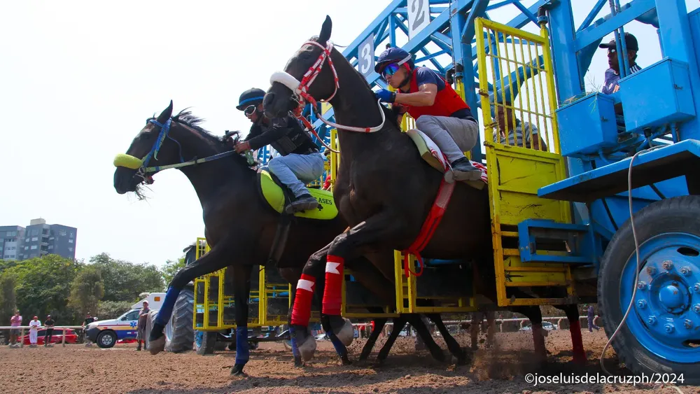 WhatsApp Image 2024-03-20 at 4.21.02 PM (1)