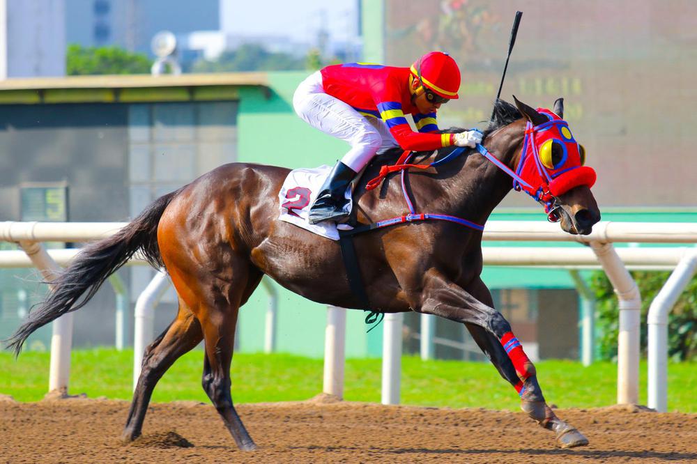 WhatsApp Image 2023-06-24 at 3.10.04 PM