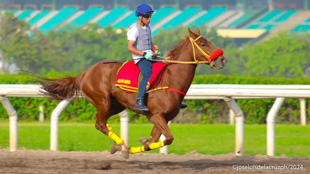 WhatsApp Image 2024-04-23 at 10.45.58