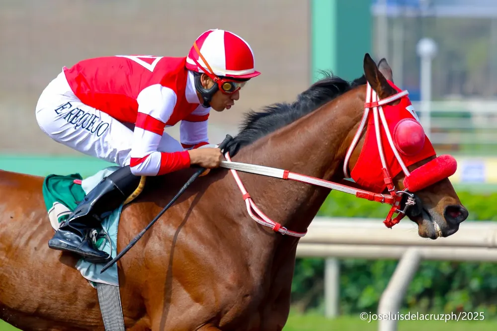 WhatsApp Image 2025-10-06 at 3.50.46 PM