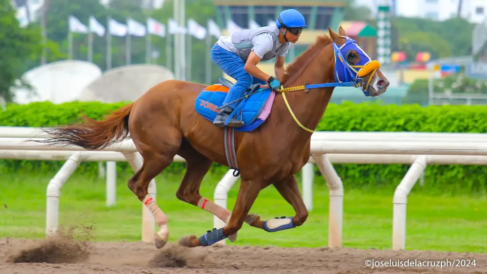 WhatsApp Image 2024-01-15 at 10.32.00 AM