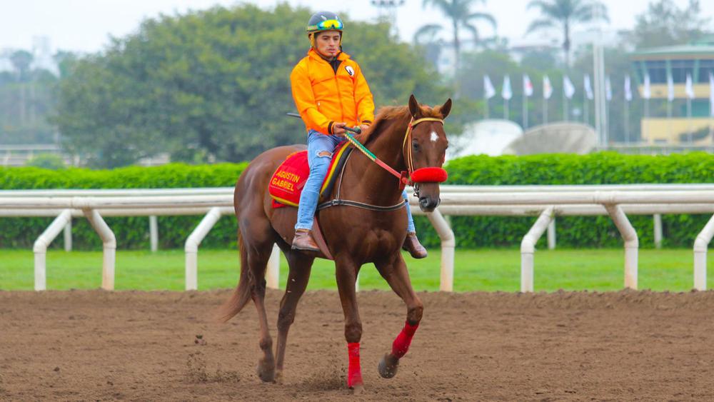 WhatsApp Image 2023-10-10 at 10.39.12 AM