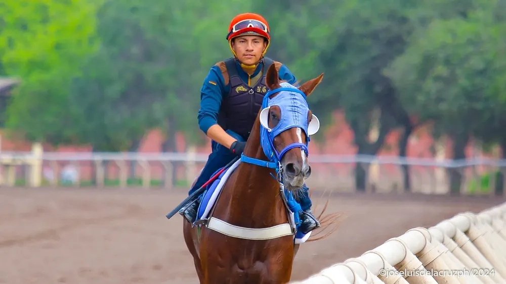 WhatsApp Image 2024-02-12 at 10.14.54 AM