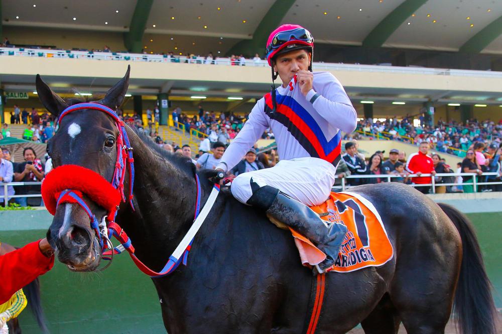 WhatsApp Image 2023-07-10 at 2.51.54 PM