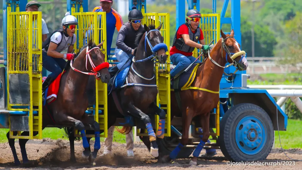 WhatsApp Image 2023-12-27 at 4.35.25 PM