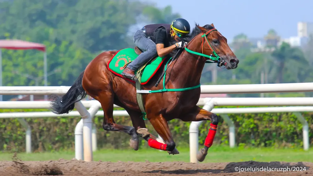 WhatsApp Image 2024-03-18 at 10.19.02 AM