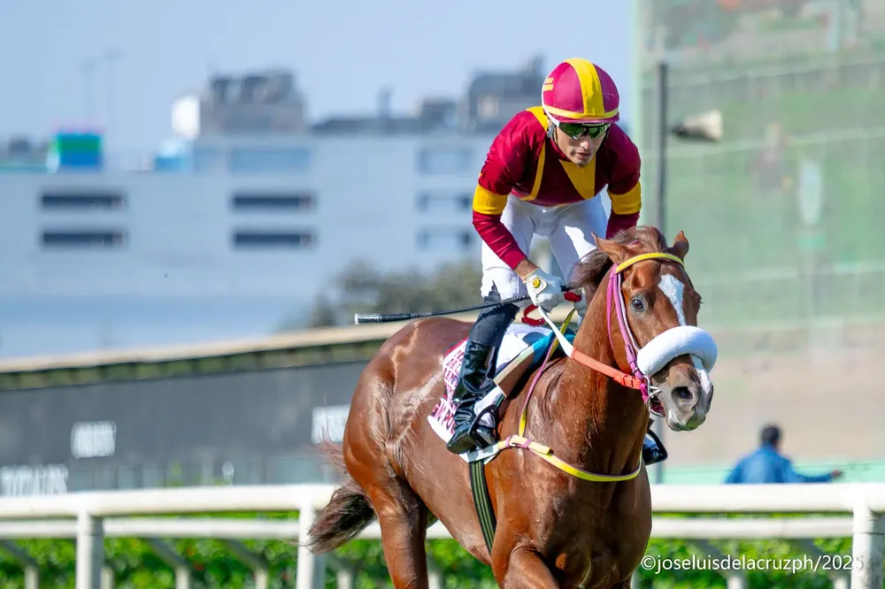 WhatsApp Image 2025-11-10 at 1.25.04 PM