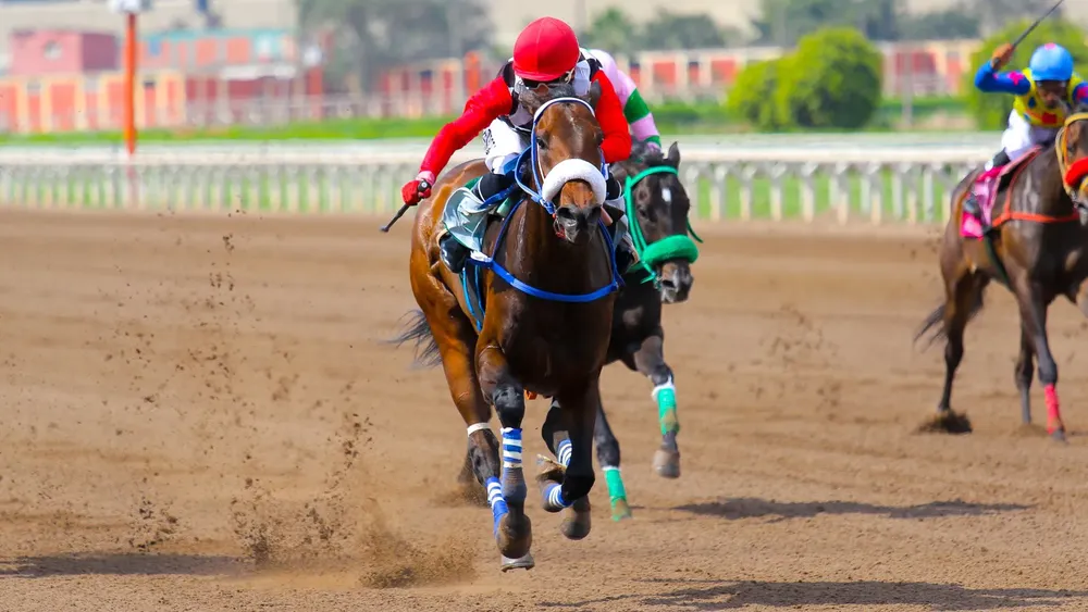 WhatsApp Image 2023-12-10 at 3.16.17 PM