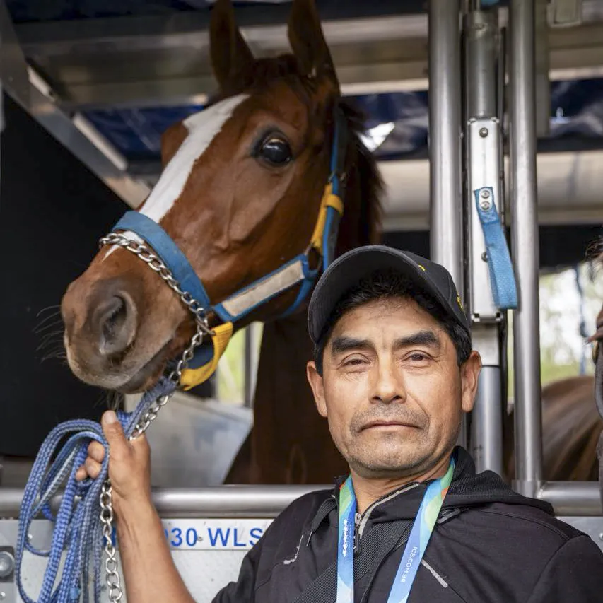 4f0c5cfe-ee71-47a7-885b-99caa926bae8-3