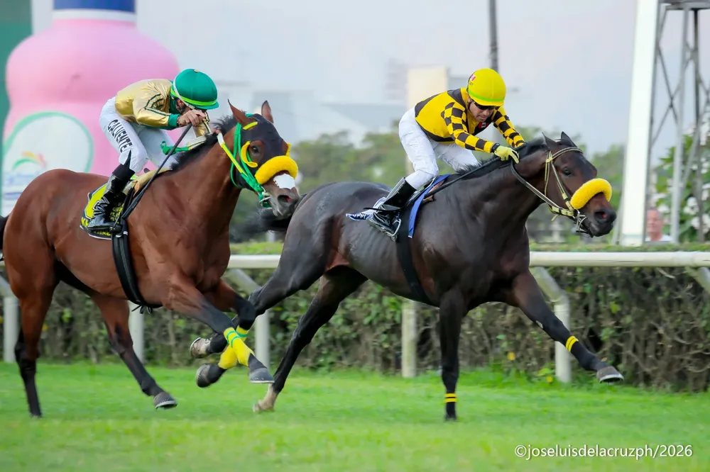 Puppi's Husband - Foto: José Luis De La Cruz