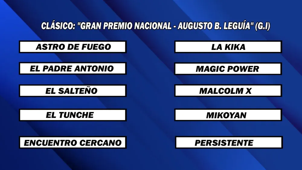 WhatsApp Image 2024-12-09 at 14.17.21 (2)