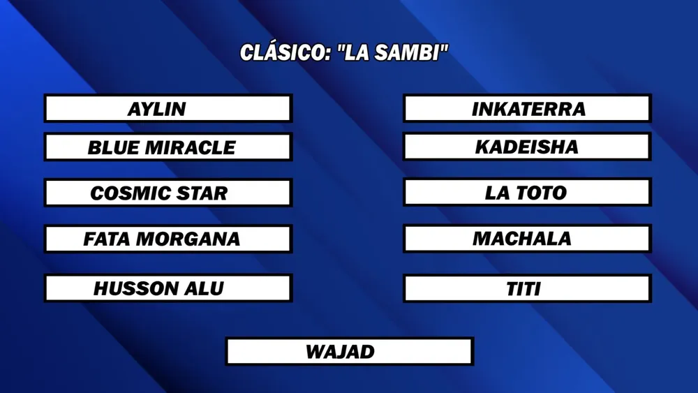 WhatsApp Image 2024-11-18 at 13.55.55 (1)