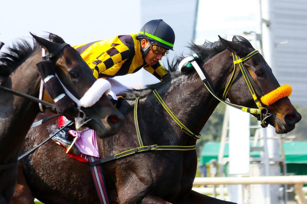 WhatsApp Image 2023-07-08 at 3.17.50 PM