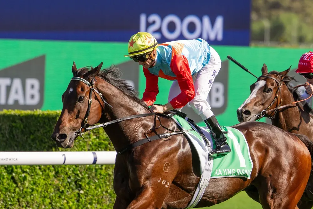 WhatsApp Image 2025-10-23 at 11.15.50 AM