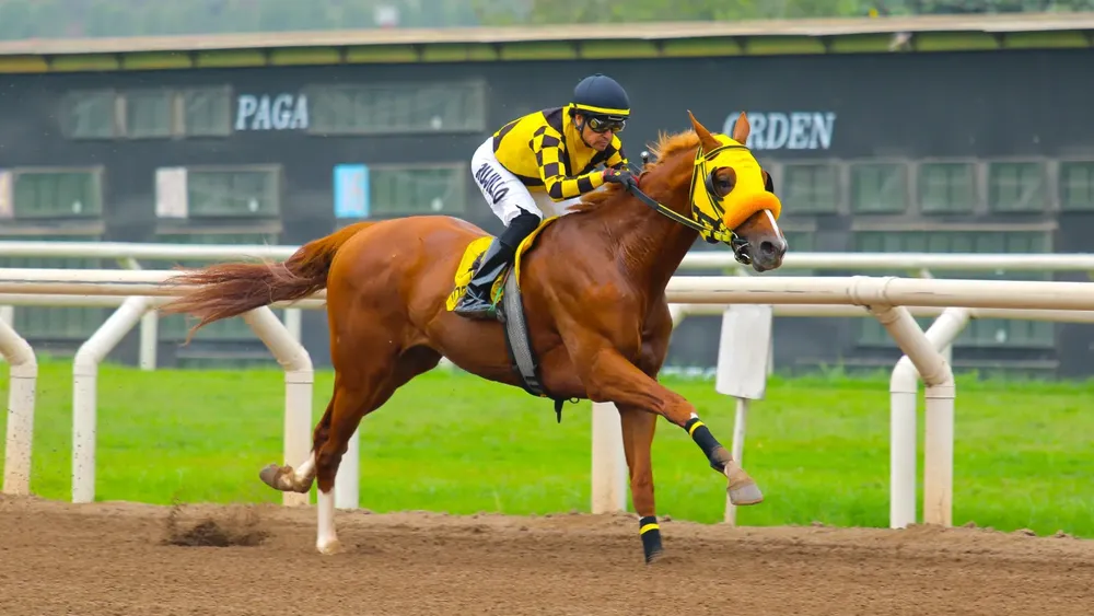 WhatsApp Image 2024-07-16 at 11.34.58