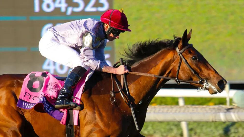 WhatsApp Image 2023-11-03 at 5.00.54 PM