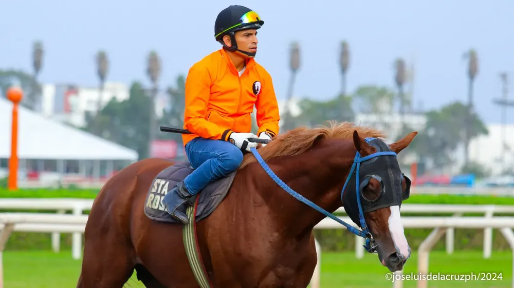 WhatsApp Image 2024-02-20 at 12.38.42 PM