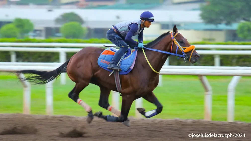 WhatsApp Image 2024-03-21 at 9.25.26 AM