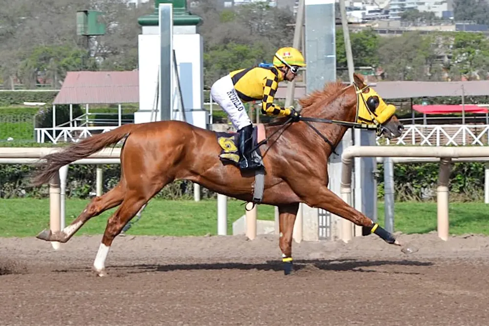 WhatsApp Image 2025-10-28 at 10.40.03 AM