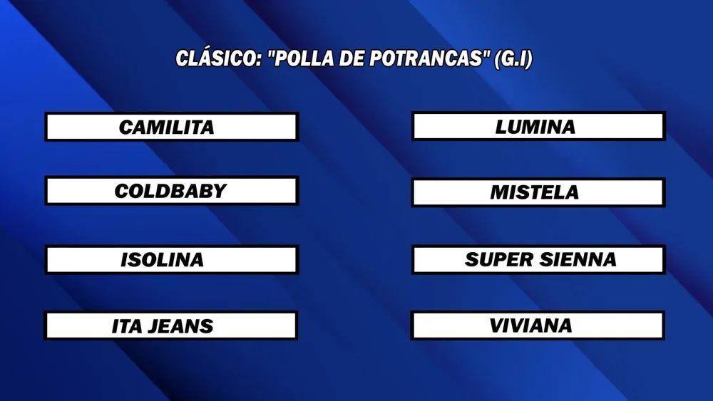 WhatsApp Image 2025-09-08 at 1.53.59 PM (1)