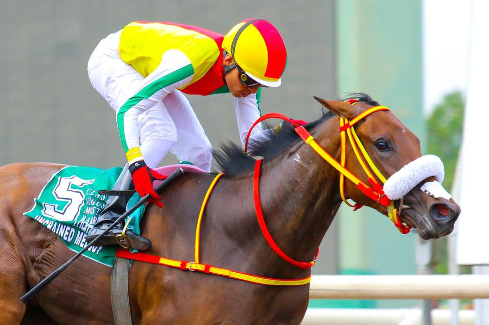 WhatsApp Image 2023-06-26 at 1.49.45 PM