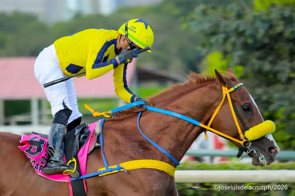 Zuccaro - Foto: José Luis De La Cruz