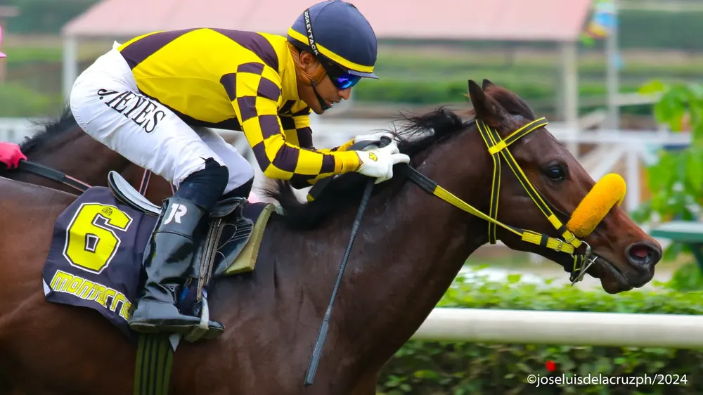 WhatsApp Image 2024-06-23 at 13.54.07