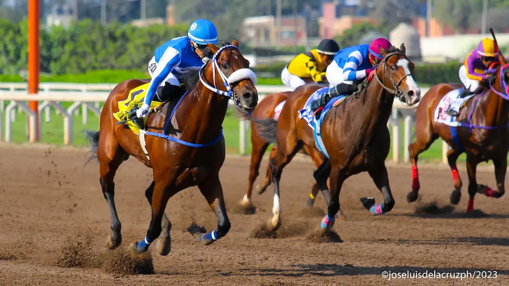 WhatsApp Image 2023-12-03 at 4.39.01 PM