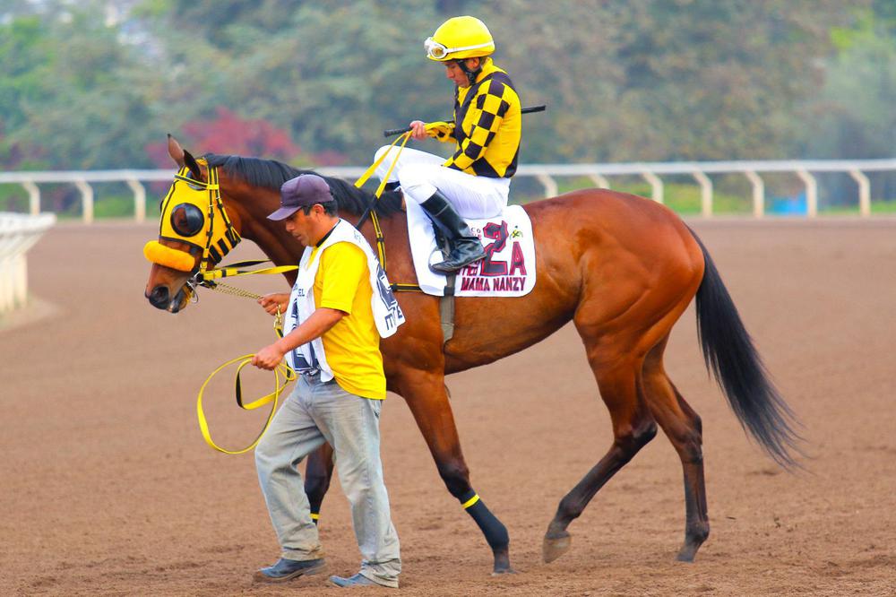 WhatsApp Image 2023-07-08 at 6.49.52 AM