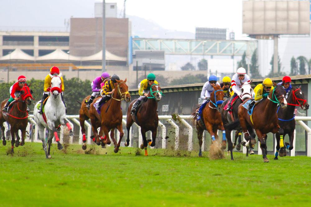 WhatsApp Image 2023-06-22 at 11.50.51 AM