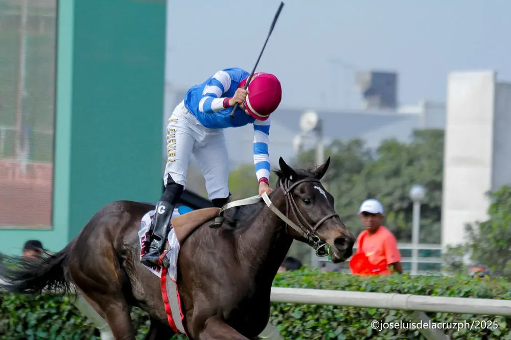 WhatsApp Image 2025-10-26 at 3.51.41 PM