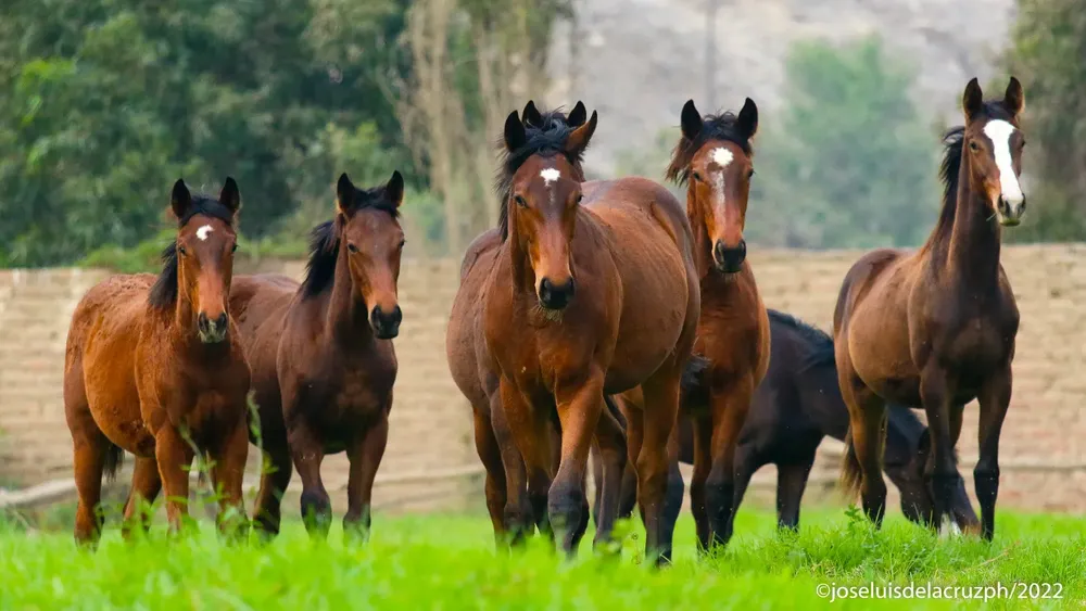 WhatsApp Image 2024-05-29 at 15.12.26