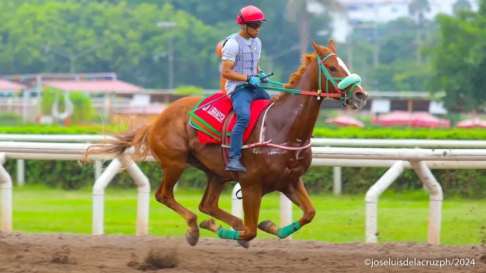 WhatsApp Image 2024-02-13 at 11.06.11 AM